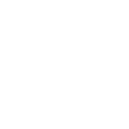WAITT Institute